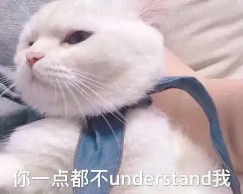 搞笑微信表情包猫咪开心