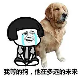 掩面哭泣表情包狗狗