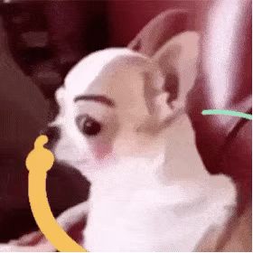 表情包我是自愿打工的