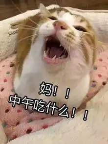 妈,我喊你为什么不理我......妈妈的回应好搞笑