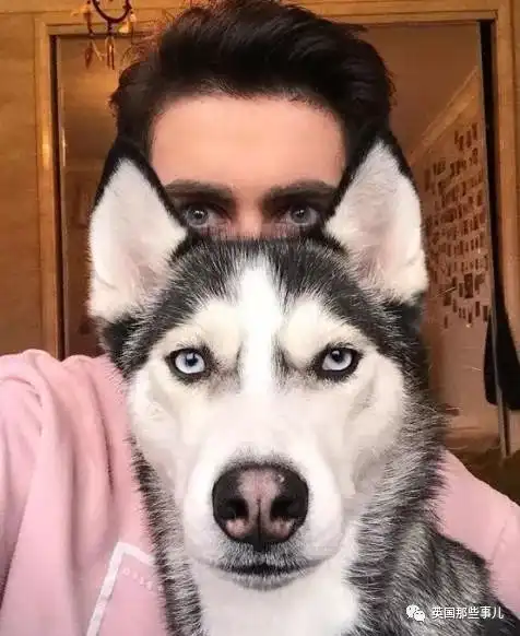 在英国当网红的小哥,人还没怎么红,家里二哈先红了