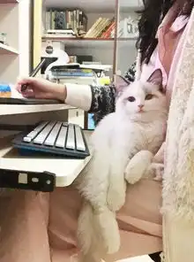 眨眼wink表情包gif眨眼