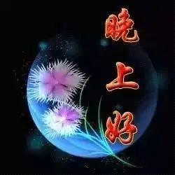最美晚上好图片动态的带鲜花朋友圈晚安问候语句