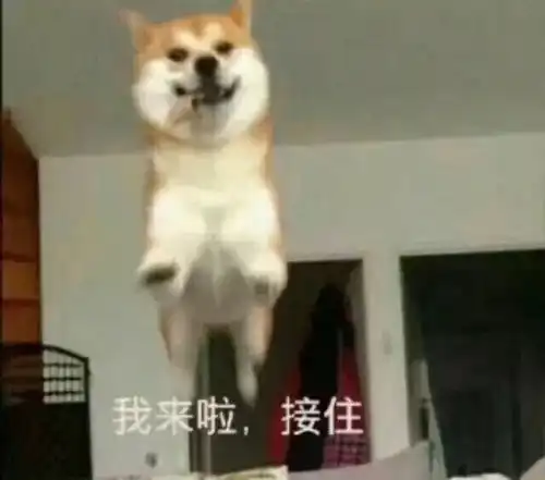 high表情包冷空气