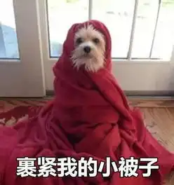 有了这些神级装备,妈妈再也不用担心我在北欧冻成狗了