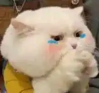 日常聊天表情包i出来挨打