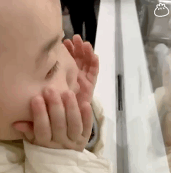 黄夏温呼喊表情包合集老公,我想你了