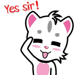 小安喵表情贴图