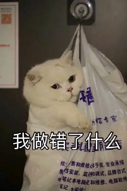 大家有什么推荐的公众号吗
