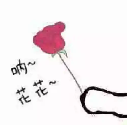 日系颜文字表情包一朵花