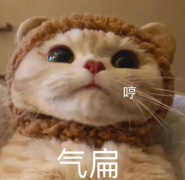 网络表情包用语姓氏