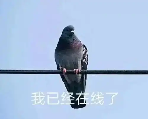 摆摊小吃车可以上美团外卖吗