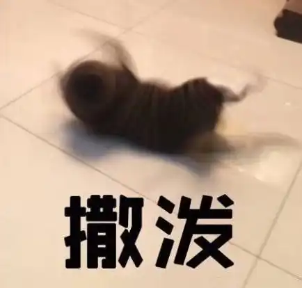 幽默笑话,下班回家,老妈笑呵呵的端上一盘酱牛肉让我吃