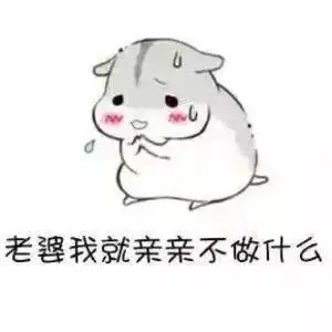仓鼠表情包老婆,我就抱抱,不做什么