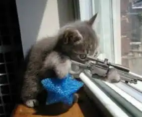 计算机安全类,求破解一张图片,已经用stegdetect判断为jphide加密的,解答后加送