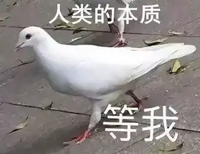 钻开脑袋连接芯片,真人钢铁侠这次要打造黑客帝国