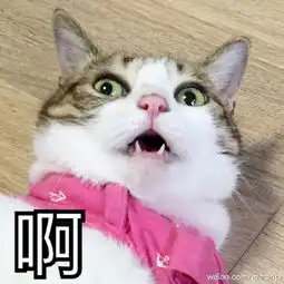 朋友圈配图表情包