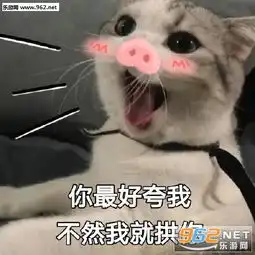 一键猫叫表情包你最好夸我不然我就拱你表情包下载乐游网游戏下载