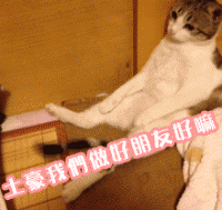 一组有魔性的动态表情包