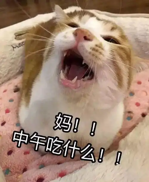 寒假亲子关系图鉴看到第20张,我不厚道地笑了