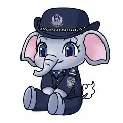 萌力爆棚云南国安卡通ip形象象强强象安安上线啦