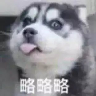 养哈千日,用在一时网友原来二哈智商零度以下才能解锁