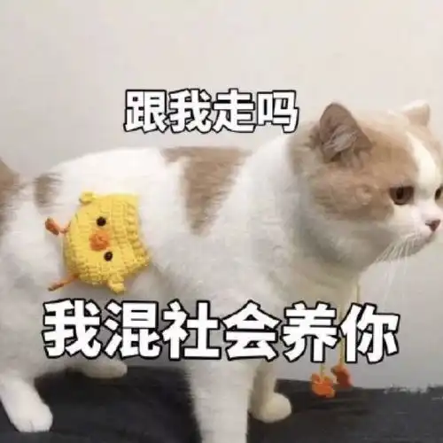 会被赞爆的憨憨沙雕句表情包