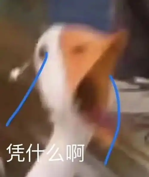 在书包里翻到一个用过的卫生巾