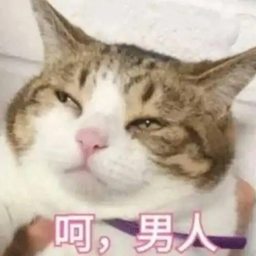 被子图片表情包可爱反套