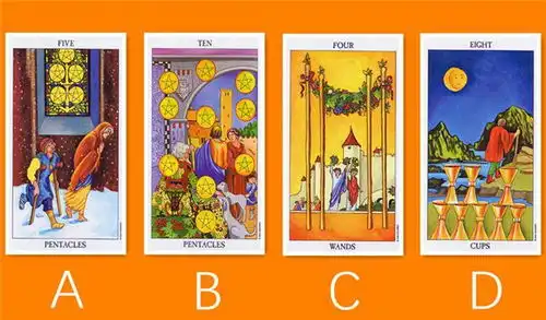 赵名辉塔罗占卜我们的未来发展