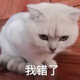 表情包qq上最美的情话5730,你知道是什么意思