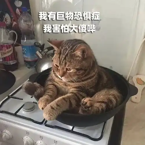 我妈跟别人吹牛说我是键盘侠哈哈哈当场气吐血了