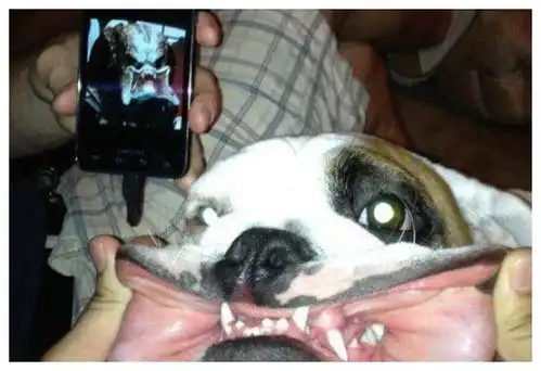 搞笑段子妈,你为什么要那样,你看售货员都看不下去了