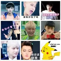 表情包少将黄子韬回归5.1演唱会直播