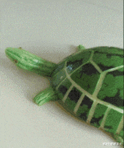 跟女友爬山拍照,看到最后女友照片的姿势网友排骨汤白喝了