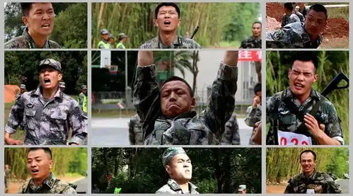 军营奋斗表情包致敬青春
