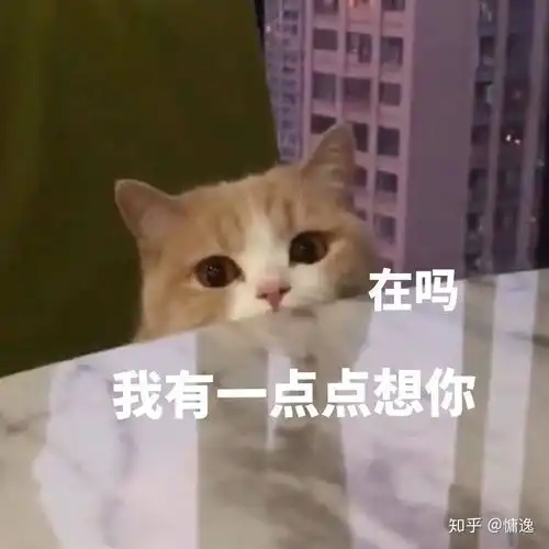 有没有别人不理你时的表情包