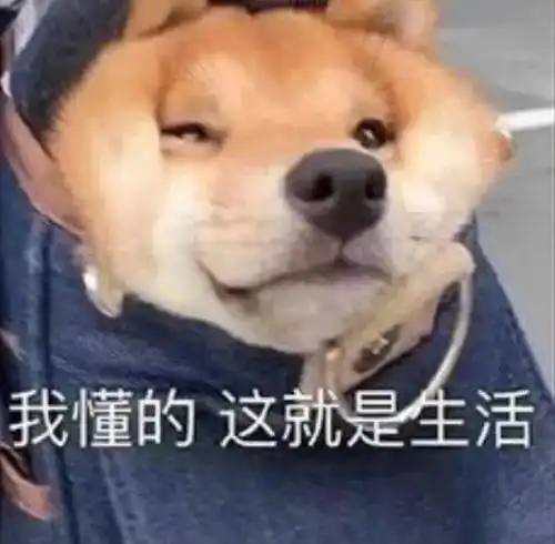 刚开学没多久,很多珠海家长和老师都哭了