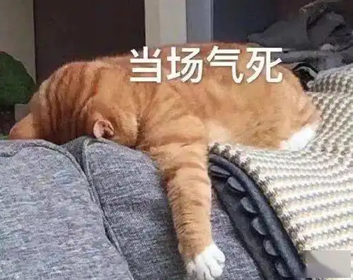 十条段子大全消闲解闷,句句幽默,太滑稽了