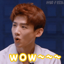 明星大侦探表情包收费大