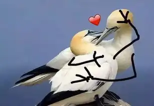 蛇精病网友给小鸟ps上了手,这迷之笑点,get到一堆表情包啊