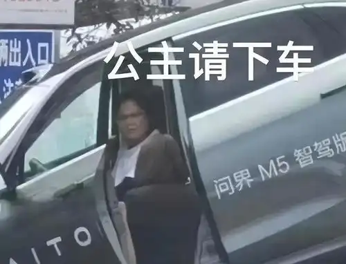 油门当刹车,问界力压海豚上热搜,aeb被质疑,女司机吓得不轻