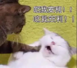 女性必读这8种疫苗,建议去打