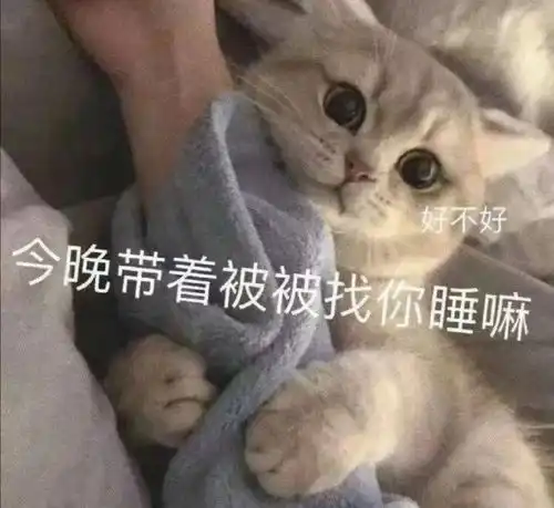 和对象聊天用的可爱表情包