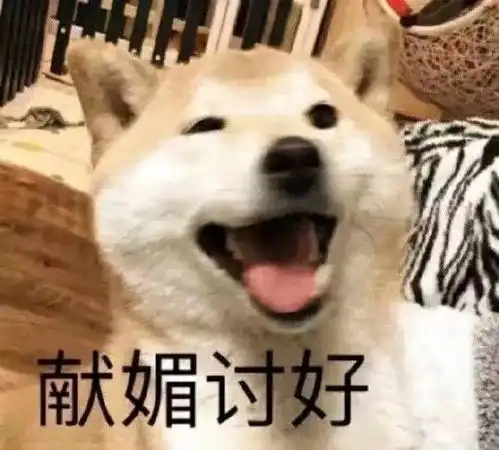 求和女朋友聊天的表情包