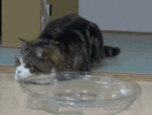 搞笑gif男人没钱不可怕,就怕男人骚啊