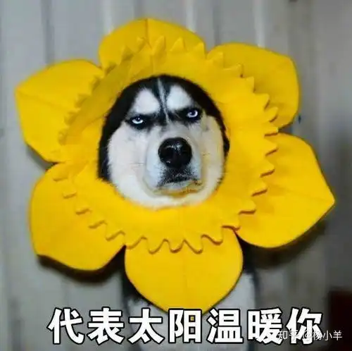 为什么很多女生表情包很迷