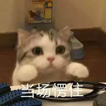 我要抱抱表情包表情包