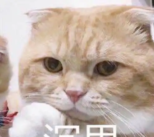 话题表情包,哄生气的闺蜜,搞笑委屈斗图表情不能少