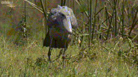 内涵段子你该出院了别的病人还在等着床位呢